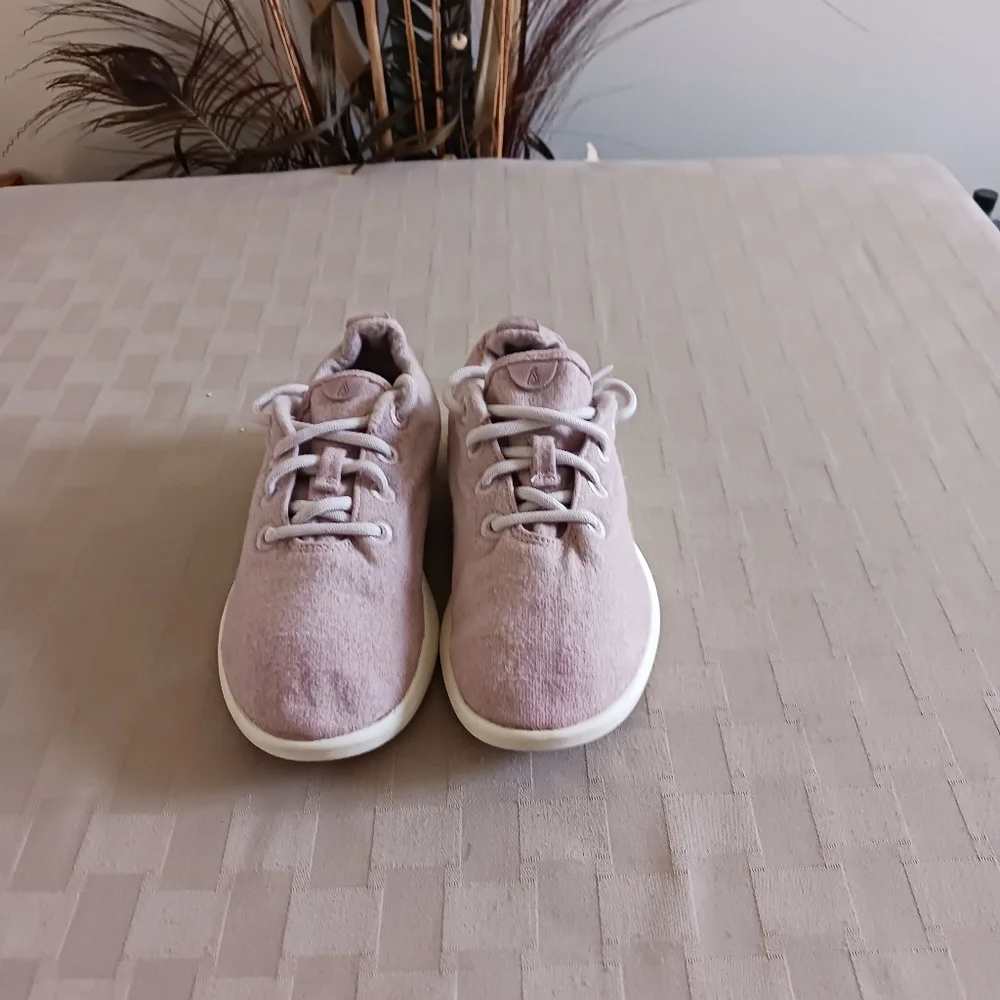 Allbirds Merino Wool Runners